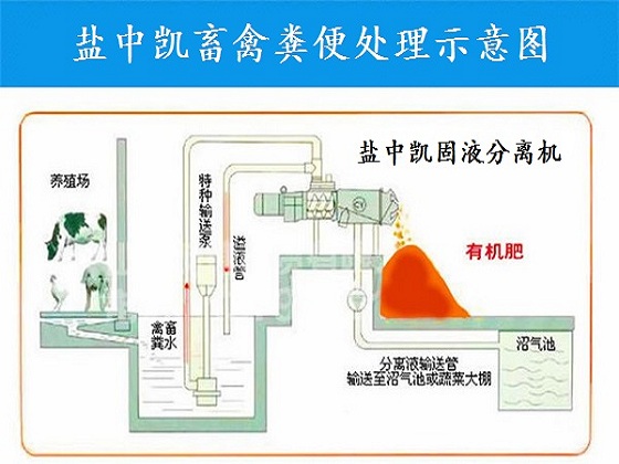 鸡粪色虎视频APP污设备